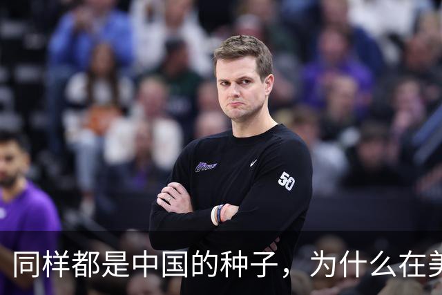 同样都是中国的种子，为什么在美国种出的水稻，亩产要比中国高？