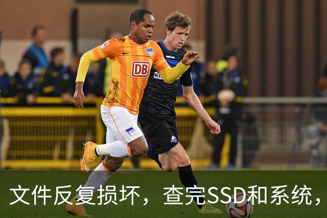 文件反复损坏，查完SSD和系统，问题出在内存条